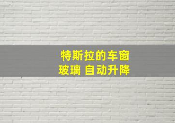 特斯拉的车窗玻璃 自动升降